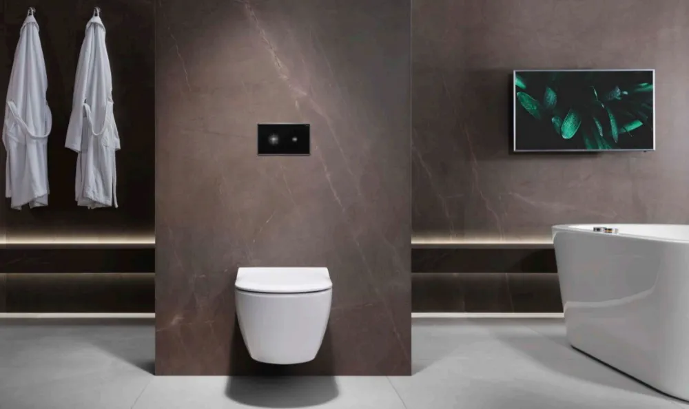 nowoczesna strefa toaletowa